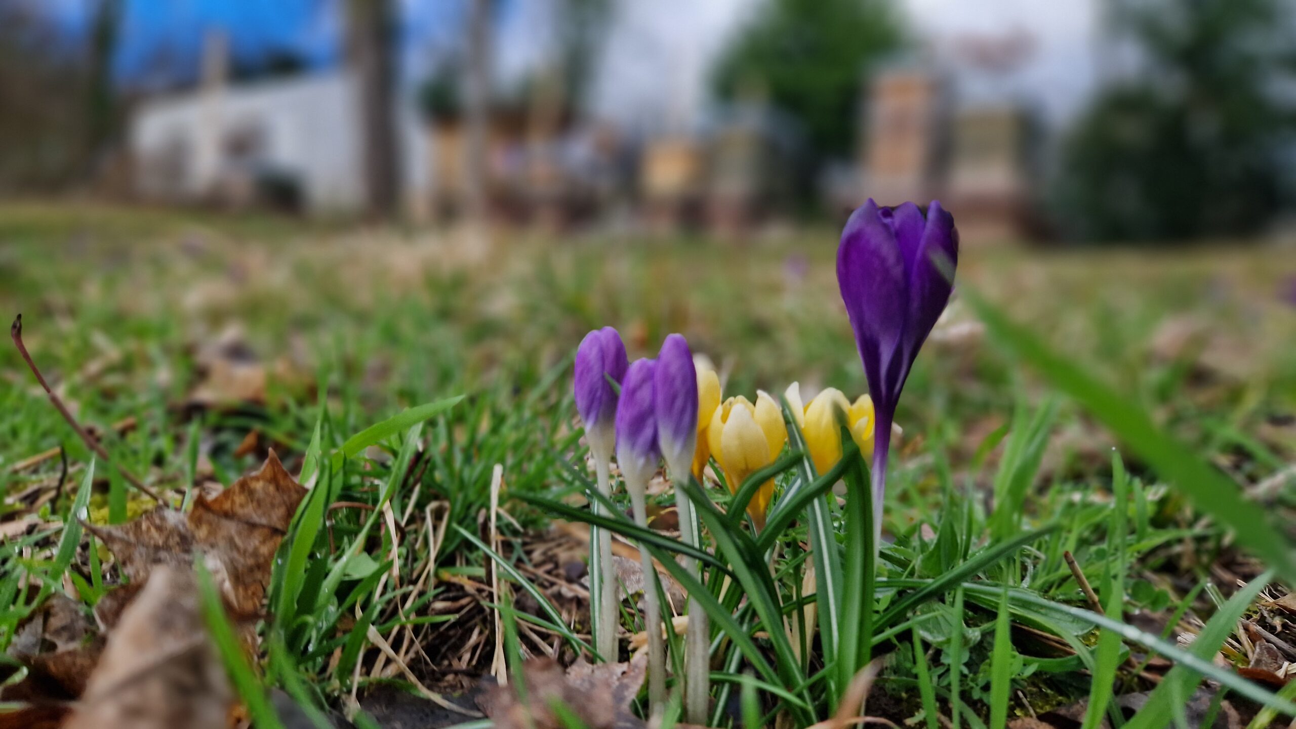 You are currently viewing Der Frühling ist da …