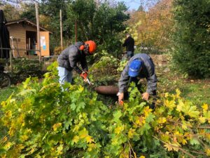 Mehr über den Artikel erfahren Herbstputz am Wartberg: Gemeinsam für ein gepflegtes Vereinsgelände